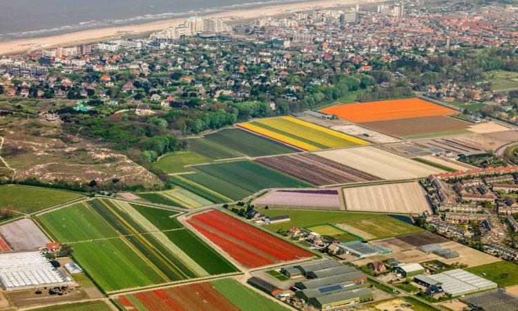 Noordwijk and surroundings