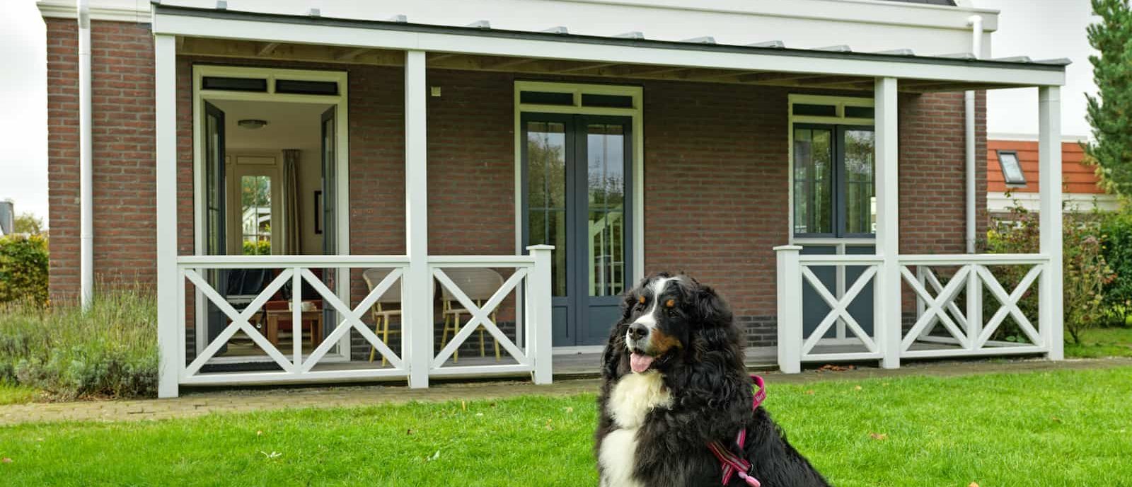 Hond welkom in bungalow